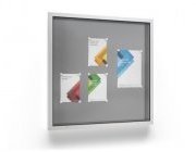 Vitrines d‘affichage Softline Economy